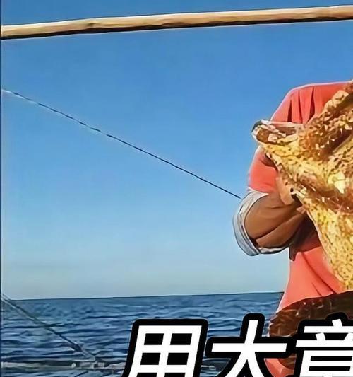章鱼钓鱼技巧和成功率提升方法？  第1张