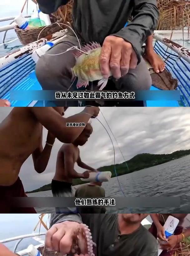 章鱼钓鱼技巧和成功率提升方法？  第2张