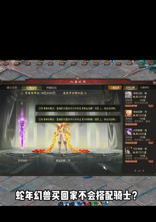 魔域异能者带灵猫绯绯效果如何？两只灵猫绯绯的搭配技巧是什么？  第2张